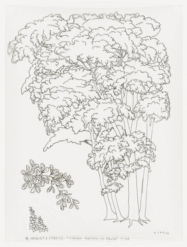Untitled, by assume vivid astro focus, ink, 2002