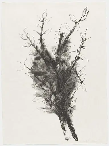 Untitled, by Aubrey Schwartz