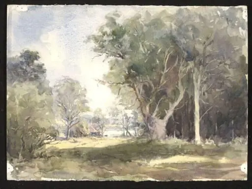 A Road through a wood, by Audrey Penn