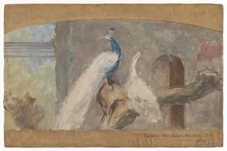 Ontwerp voor een dessus-de-porte: tak met pauw en andere vogels