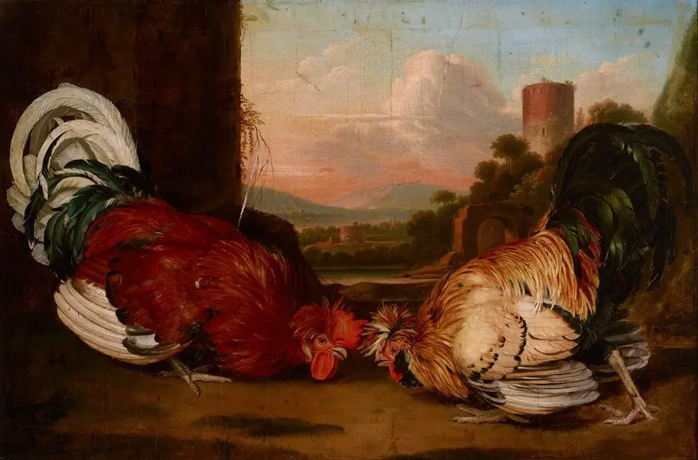 Fight of Cocks, by August Friedrich