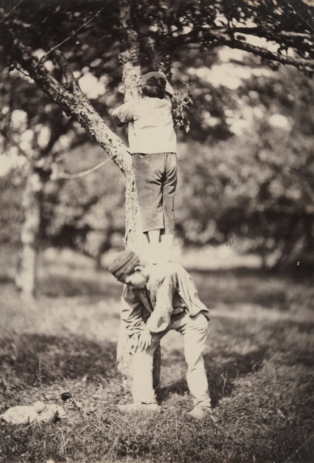 French Country Study: Two Boys Climbing a Tree, by Auguste Giraudon's Artist, 1870