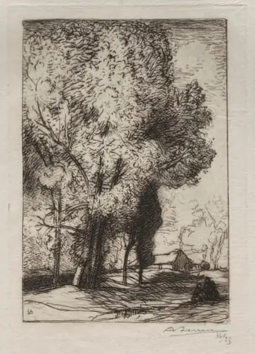Bourrine dans les Peupliers, by Auguste Lepère