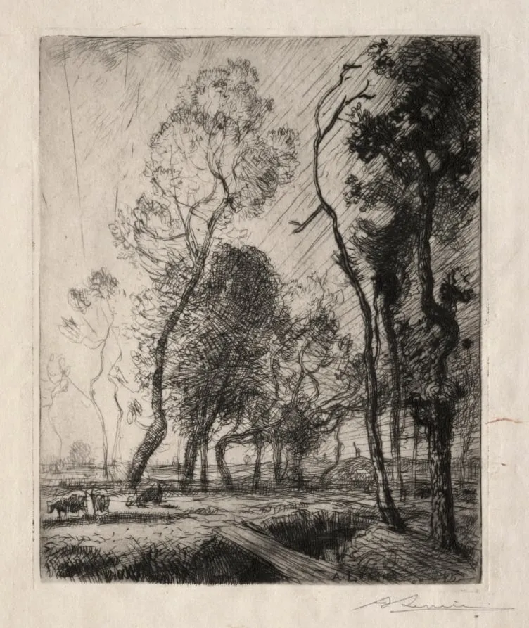 Coucher de Soleil derrière les Arbres, by Auguste Lepère, 1909