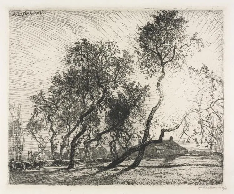 Farm with Poplar Trees of Holland, by Auguste Lepère, 1914