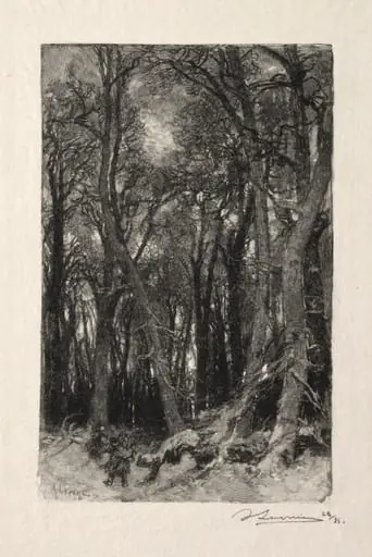 Le Bas Bréau, by Auguste Lepère