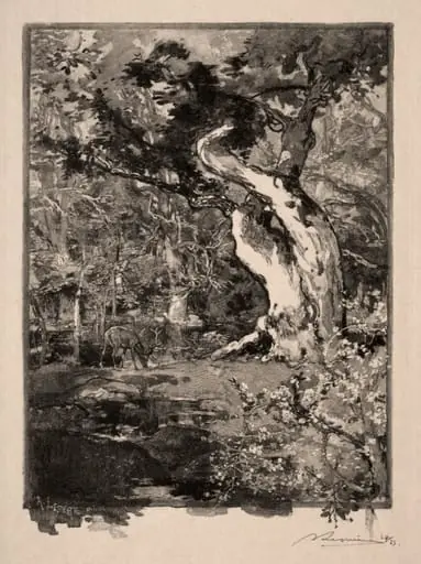 Le Clovis, Plateau de Bellecroix, by Auguste Lepère