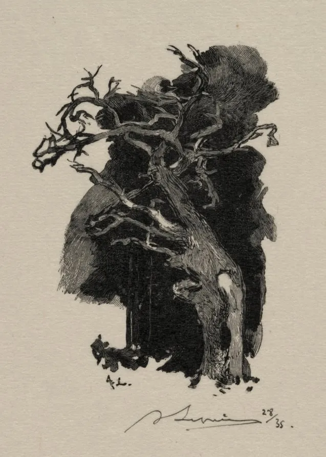 Le Rageur, by Auguste Lepère, 1887