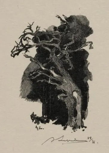 Le Rageur, by Auguste Lepère