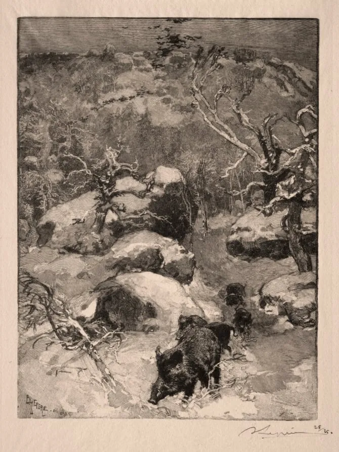 Roche Cuvier Chatillon, by Auguste Lepère, 1887