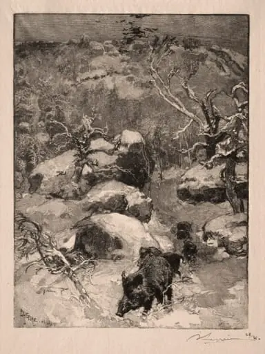 Roche Cuvier Chatillon, by Auguste Lepère