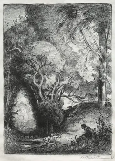 The Ravine in June, by Auguste Lepère