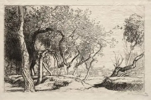The Twisted Tree, by Auguste Lepère
