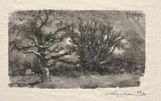 Au dormoir de Lantara
