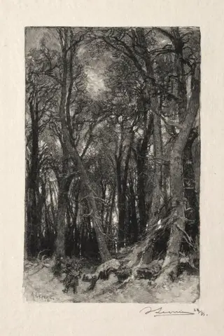 Le Bas Bréau, by Auguste Louis Lepère