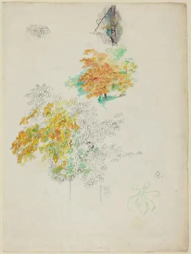 Studies of Trees, by Auguste Renoir