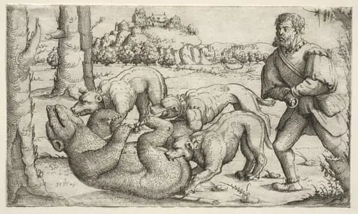 A Bear Hunt, by Augustin Hirschvogel