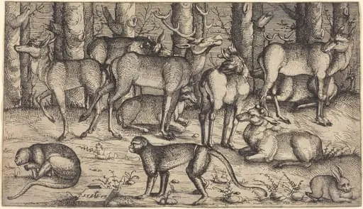 Stags in the Forest, by Augustin Hirschvogel