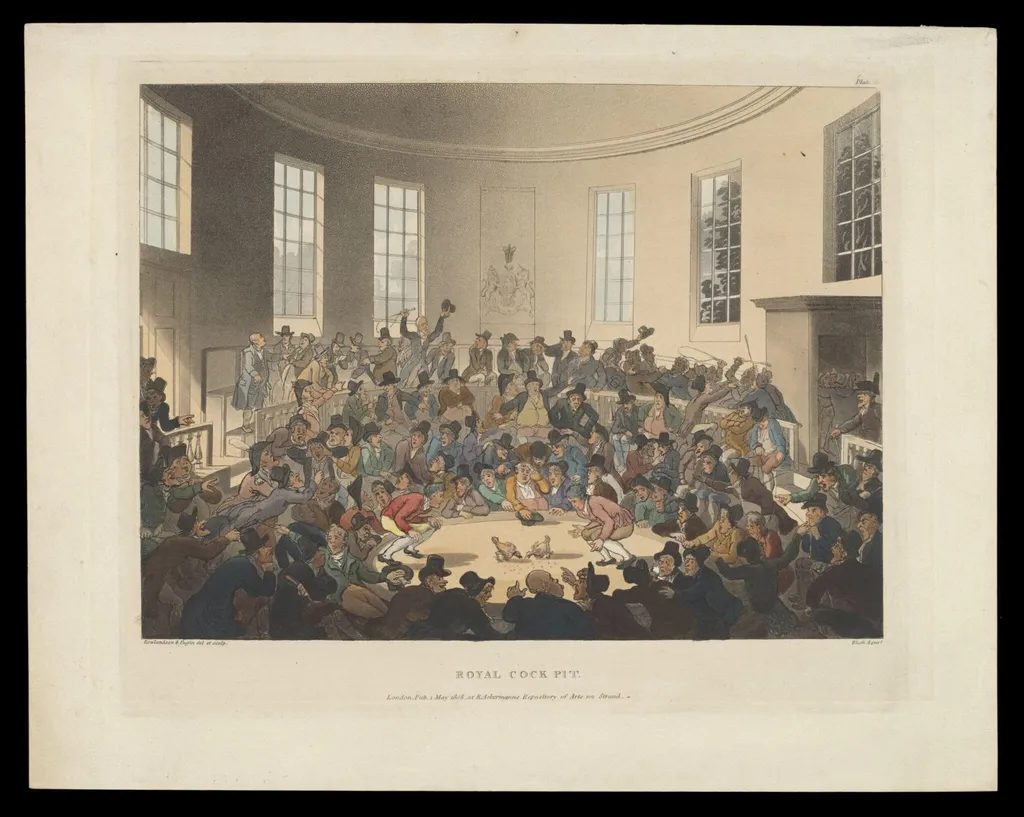 H Beard Print Collection, by Augustus Charles Pugin, 1