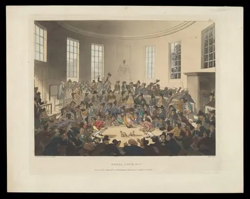 H Beard Print Collection, by Augustus Charles Pugin