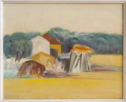 Margine de sat, by Aurel Aniței