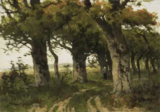 Avenue of Oaks in Late Summer, by Maria Bilders-van Bosse