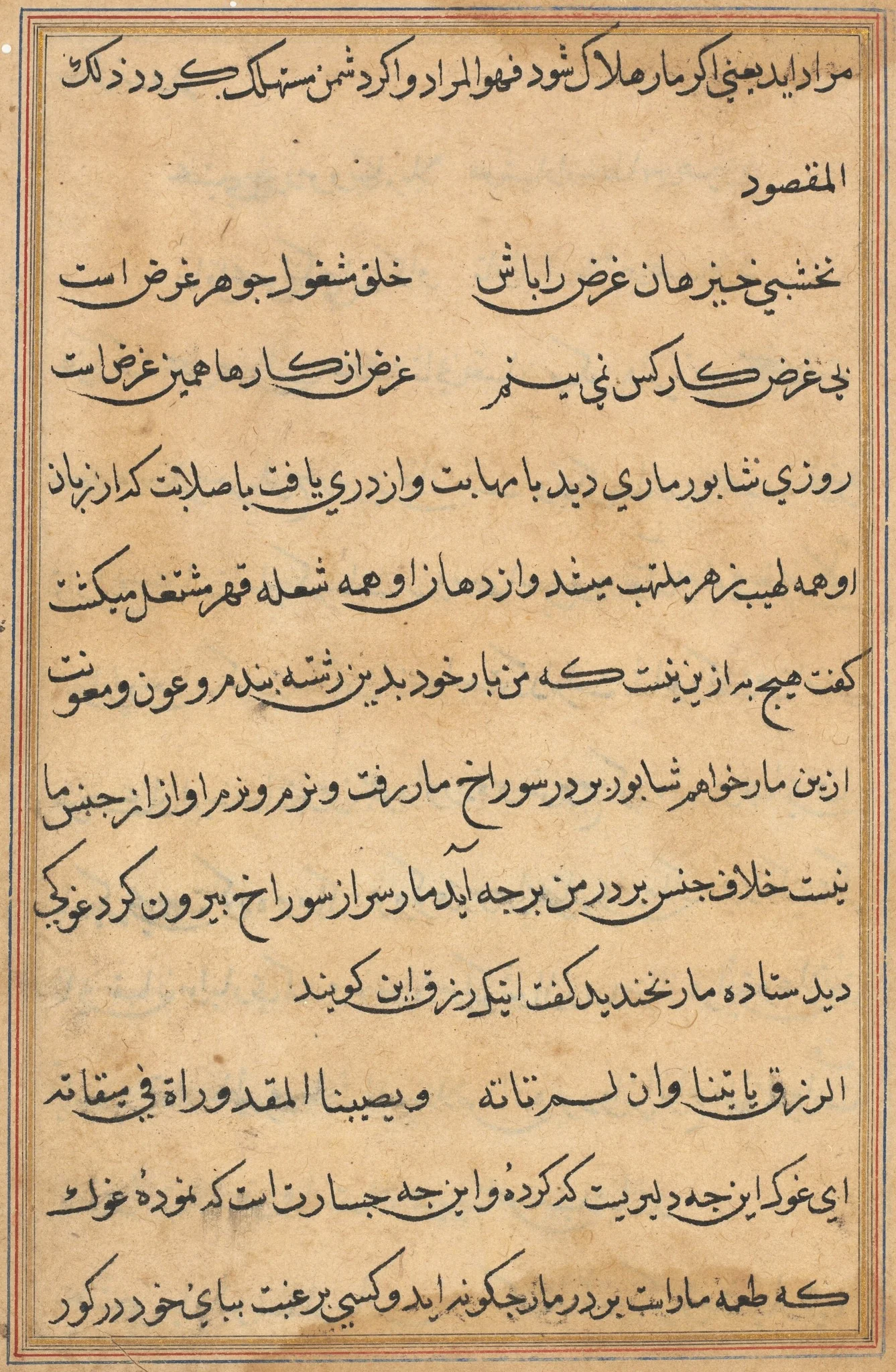 Page from Tales of a Parrot (Tuti-nama): text page, detail