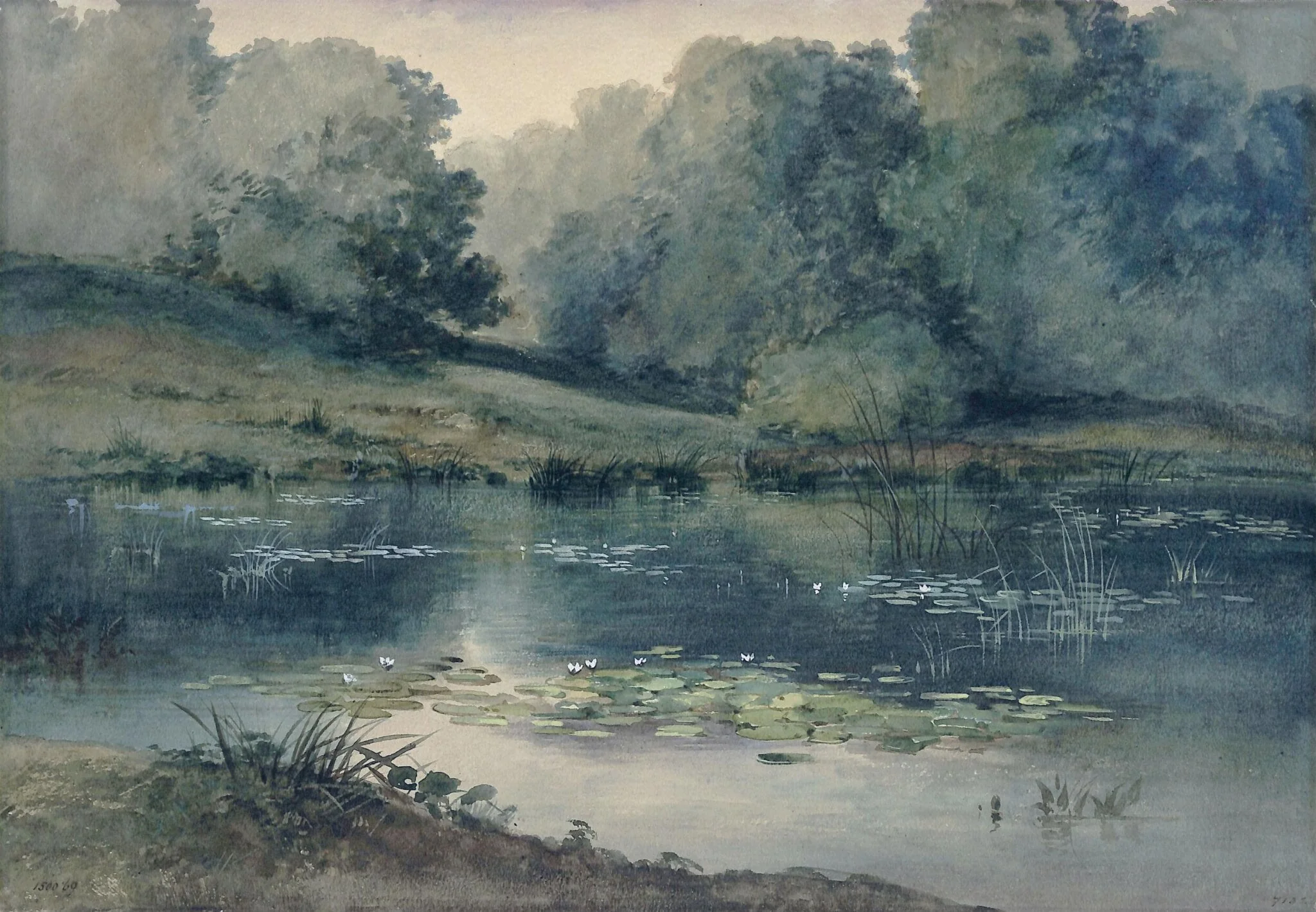 Pond with water lilies, detail