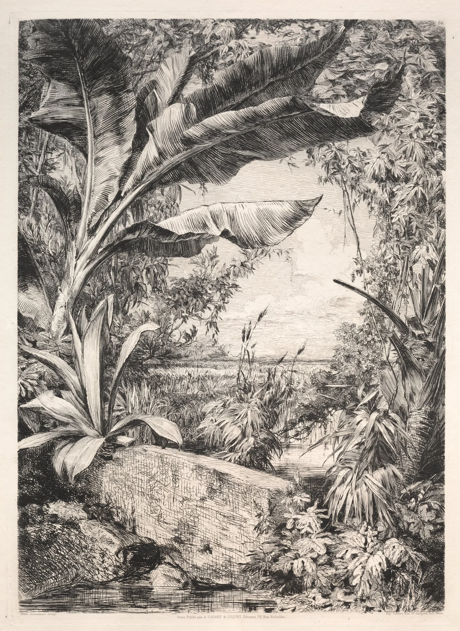 Plants of the Greenhouse, detail