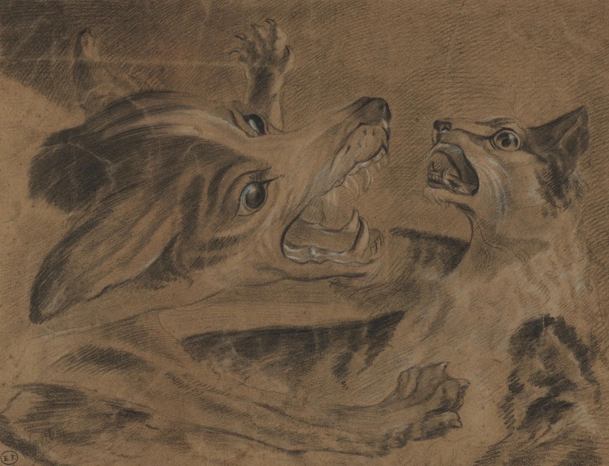 Fighting Animals, detail