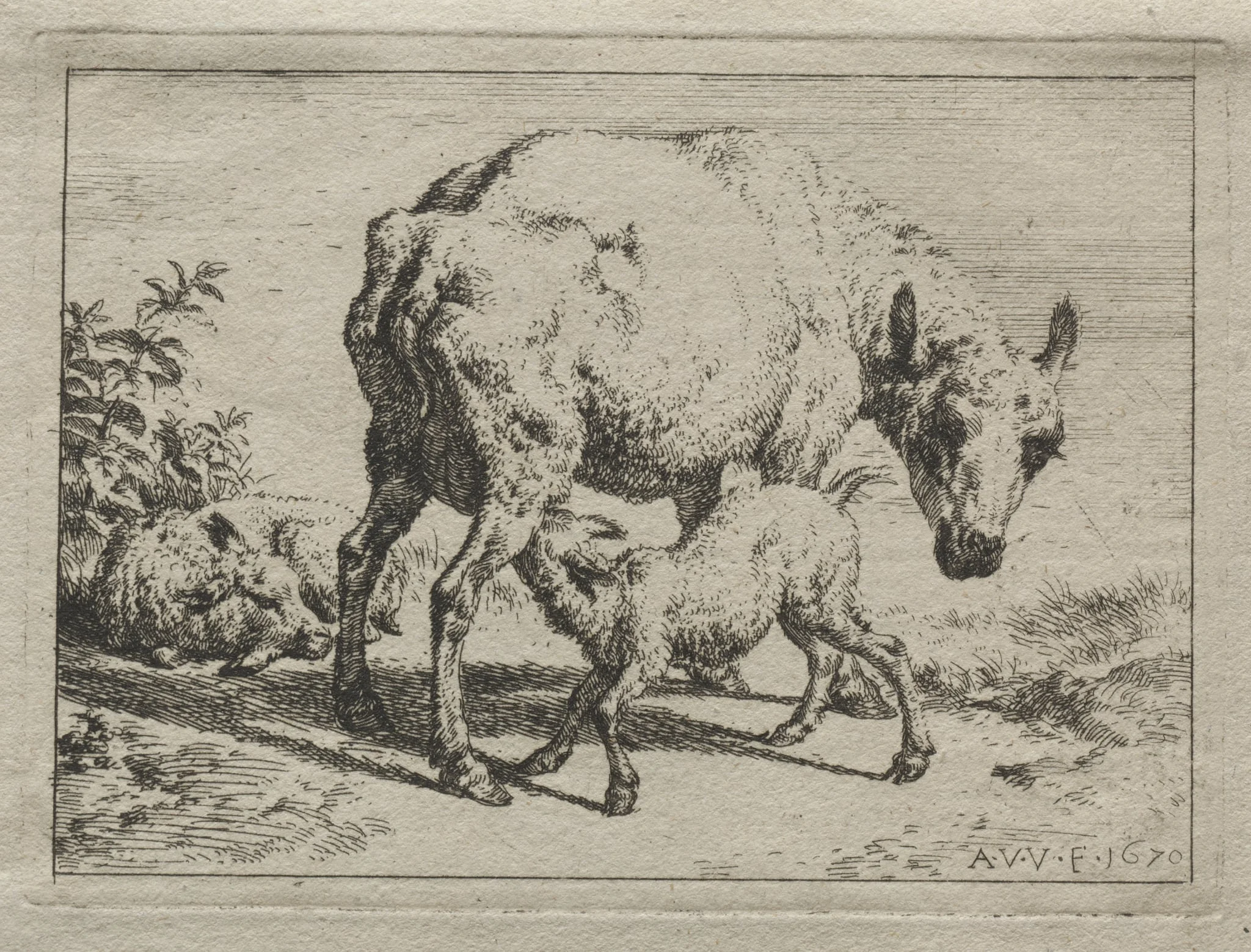 The Ewe and Two Lambs, detail