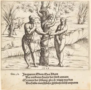 The Fall of Man, by Augustin Hirschvogel, ink, 1548