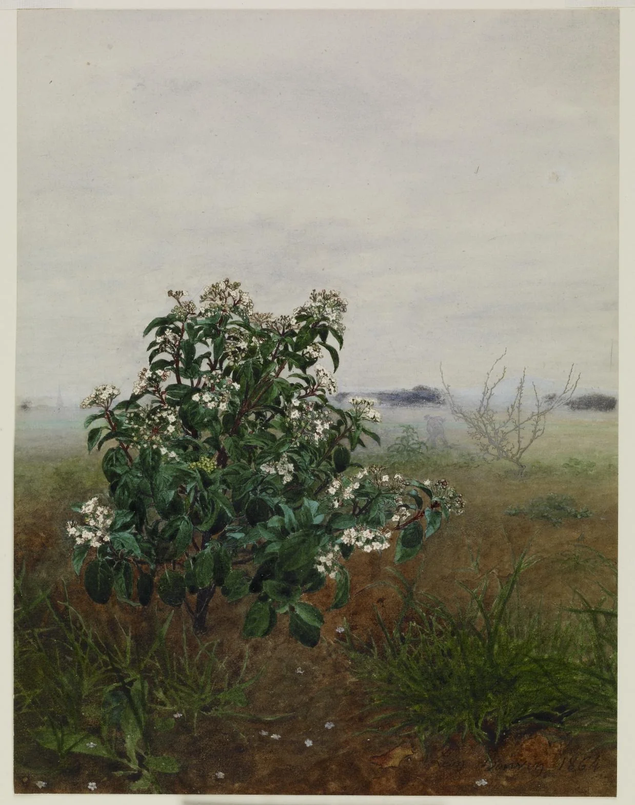 The Flowering Shrub, detail