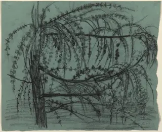 Fruit Tree in Bloom, by Paula Modersohn-Becker, charcoal, 1901
