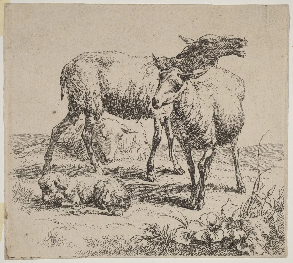 Three Sheep and a Lamb, by Nicolaes Pieterszoon Berchem, ink, 1640