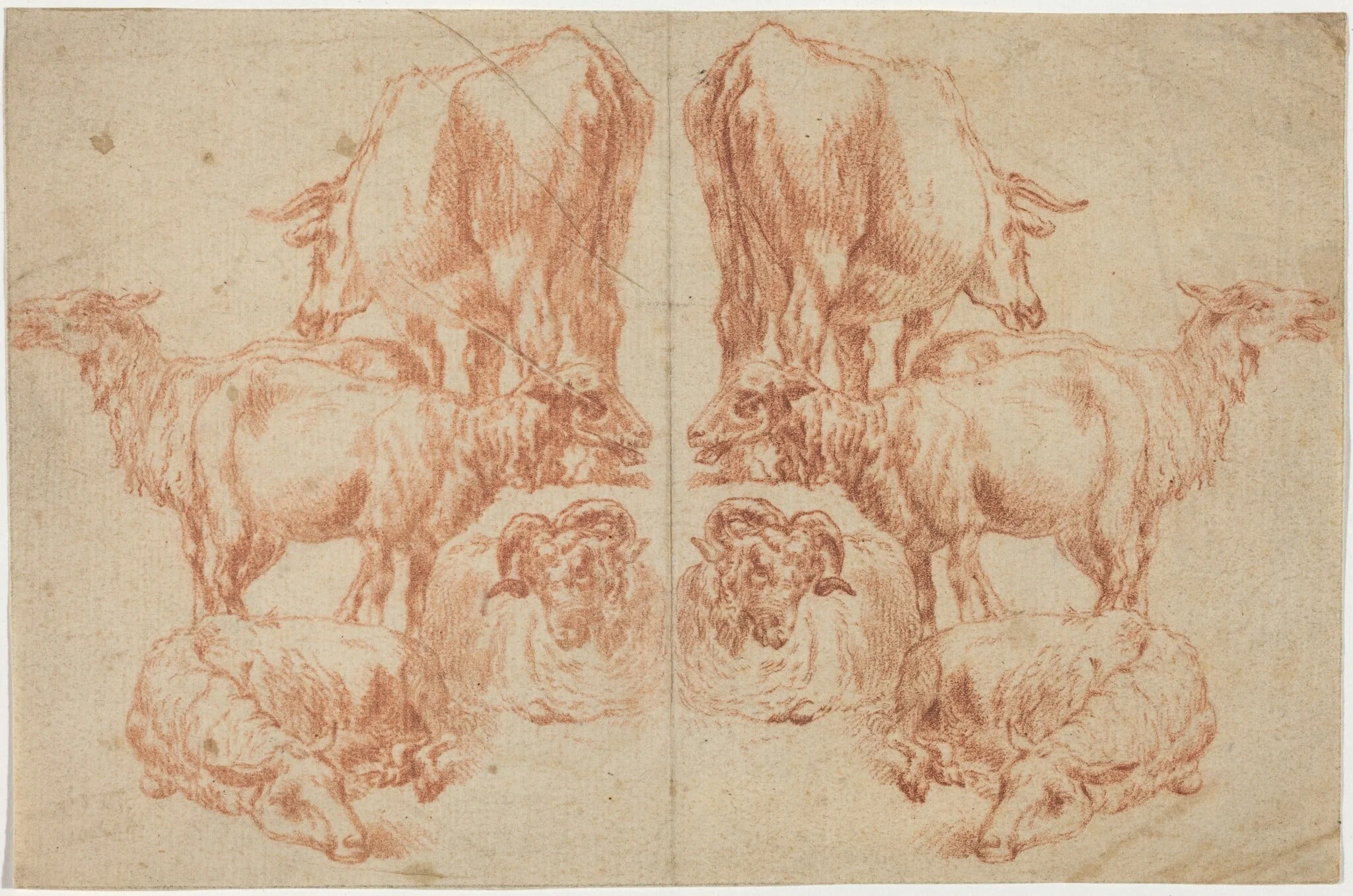 Four Sheep and a Cow, detail