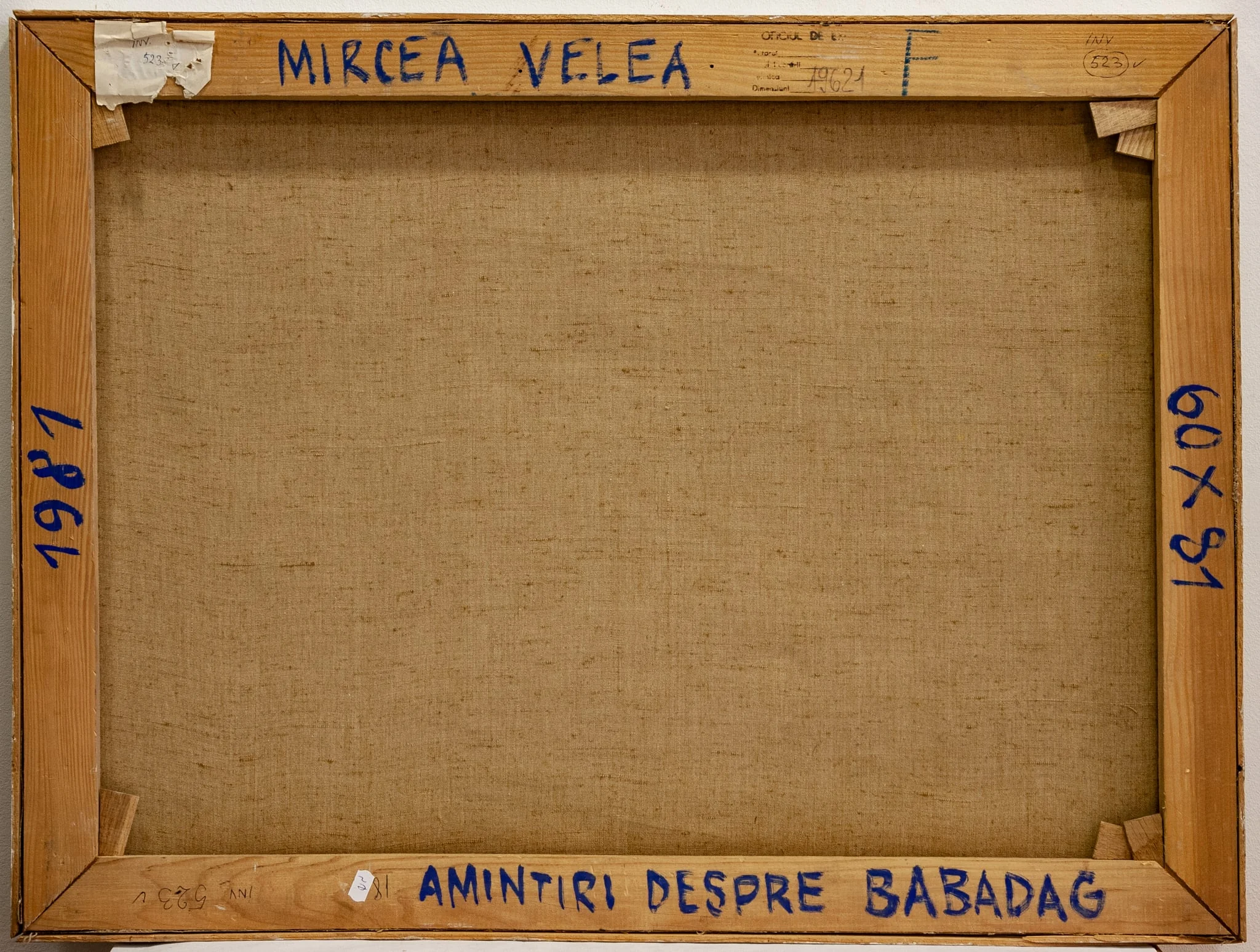Amintiri despre Babadag, detail