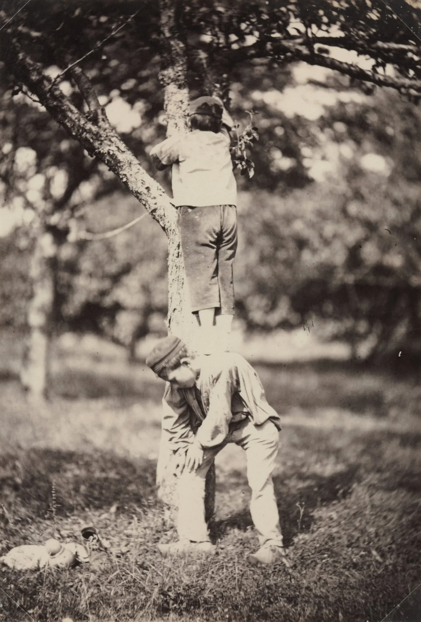 French Country Study: Two Boys Climbing a Tree, detail