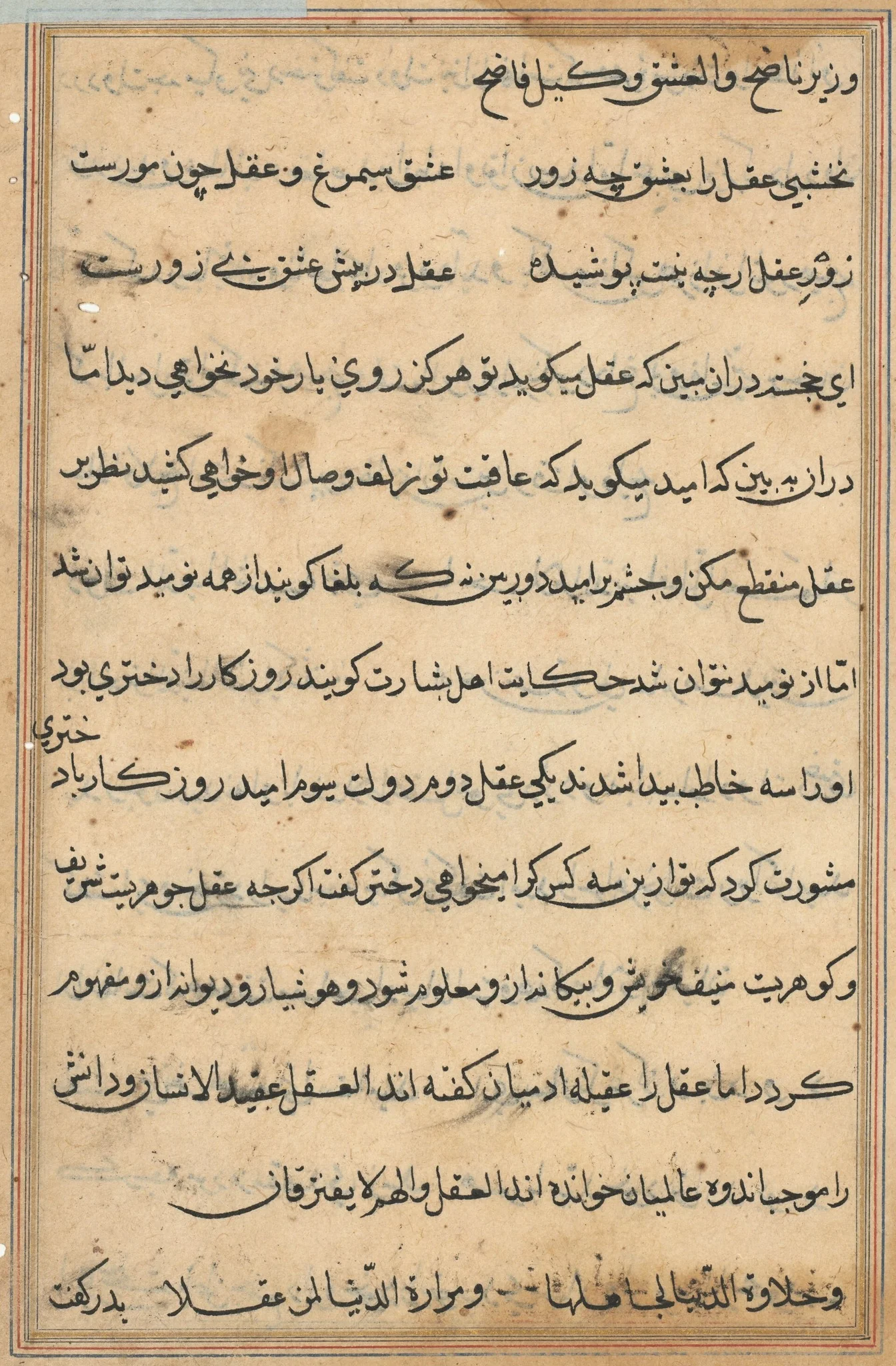 Page from Tales of a Parrot (Tuti-nama): text page, detail