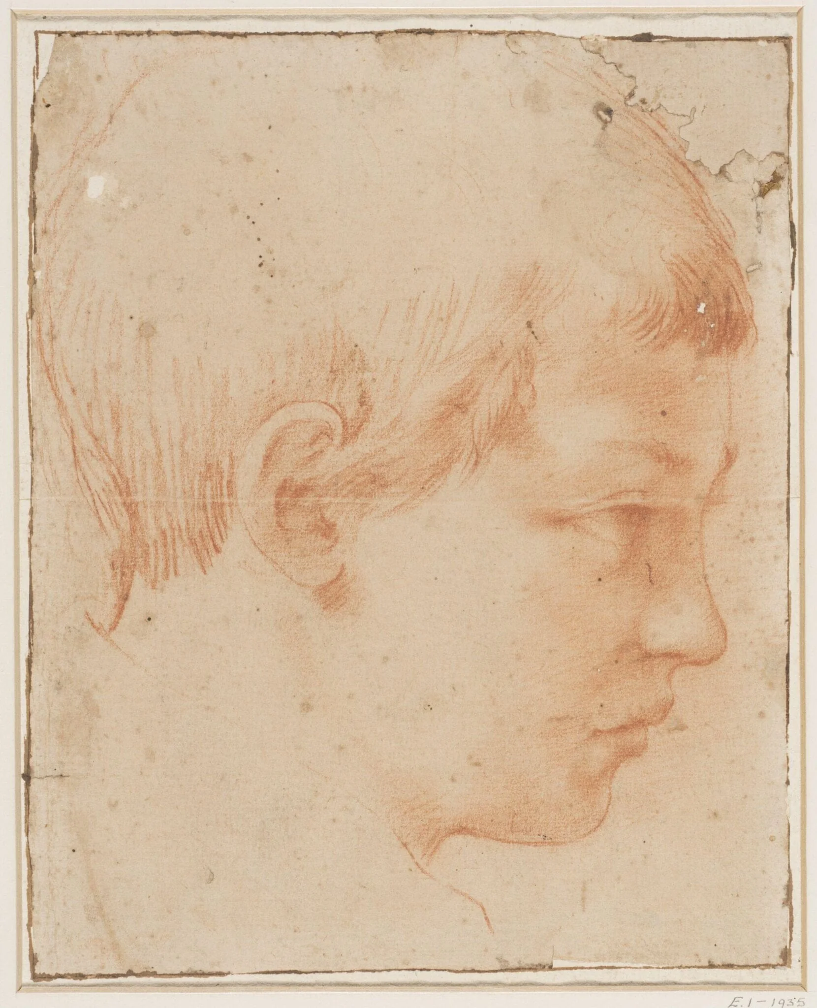 Head of a boy, detail