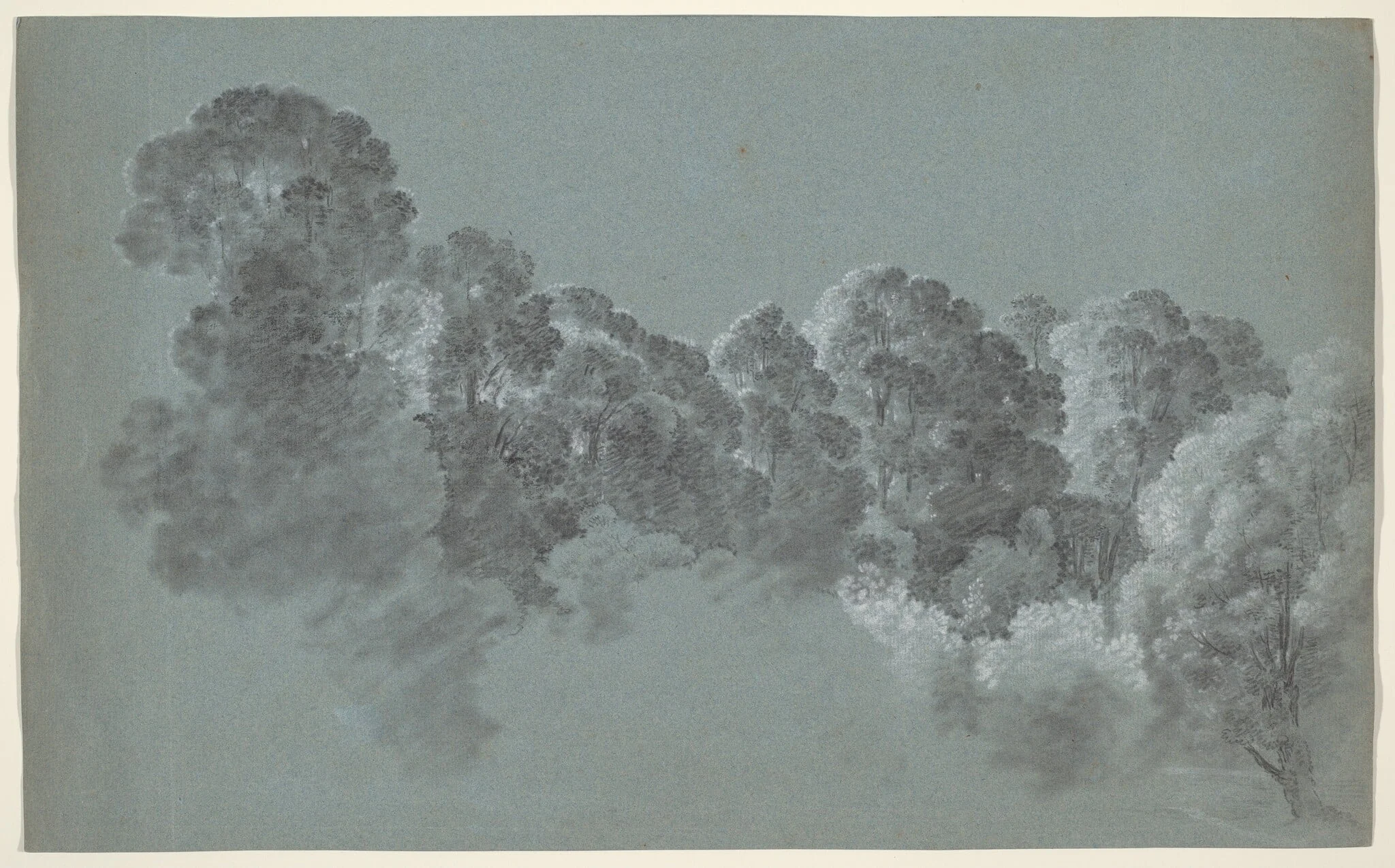 Forest Treetops Struck by Light, detail