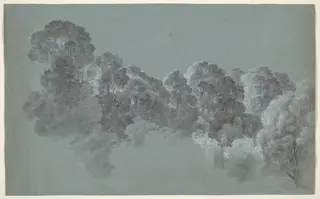 Forest Treetops Struck by Light, by Heinrich Rieter, chalk, 1800