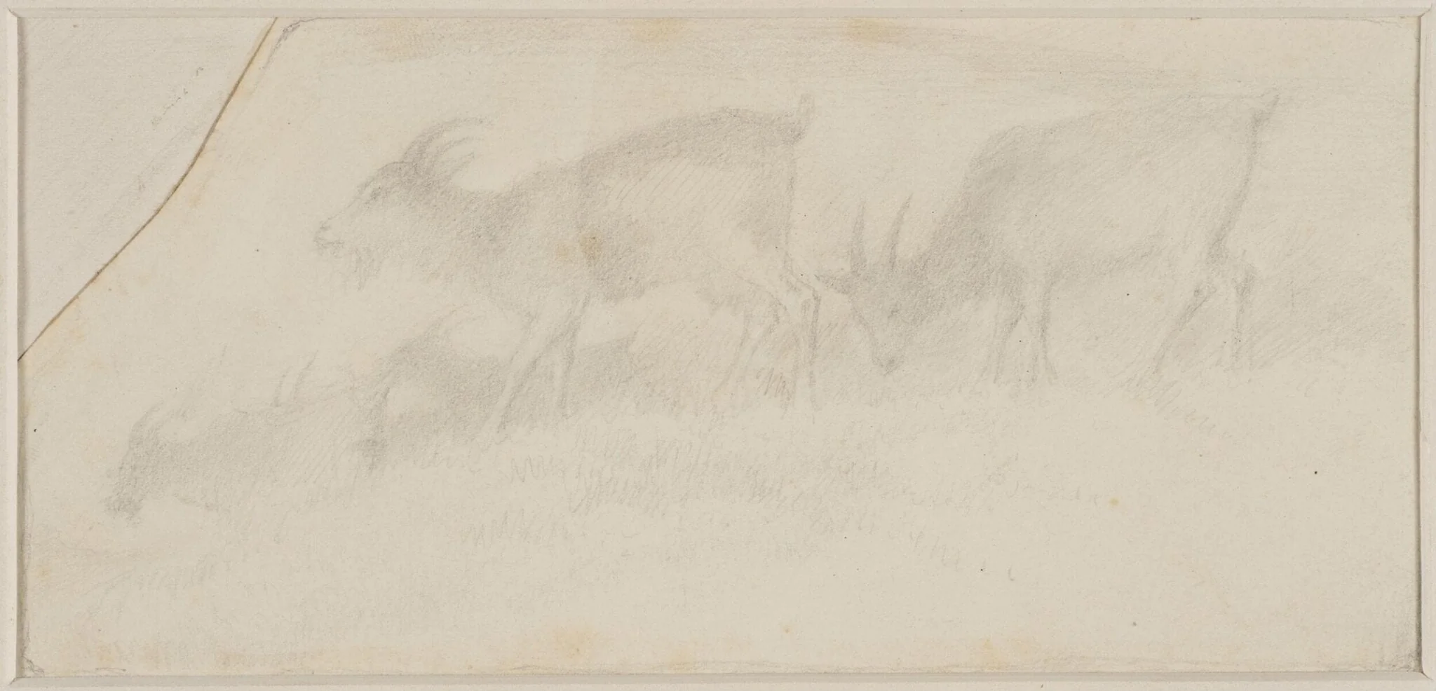 Untitled, detail