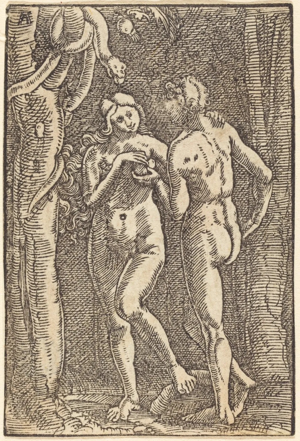 The Fall of Man, by Albrecht Altdorfer, ink, 1513