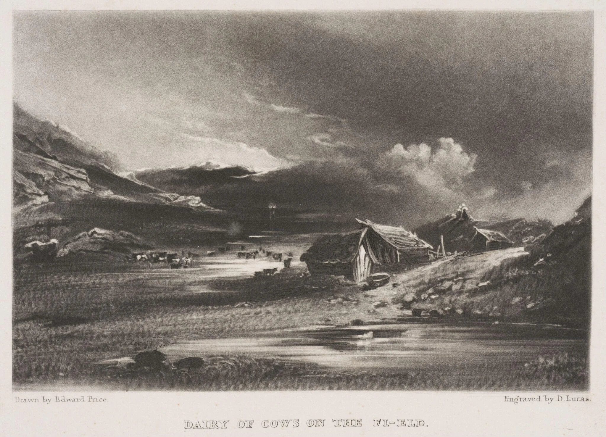 Dairy of Cows on the Fi-eld, detail