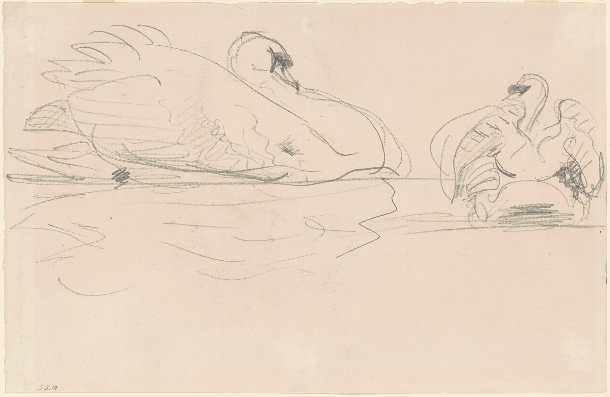Swans in the Water, detail