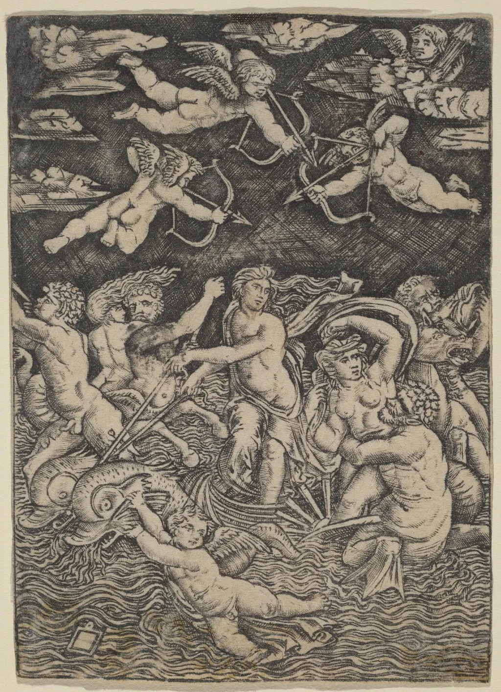 The Triumph of Galatea, by Peregrino da Cesena