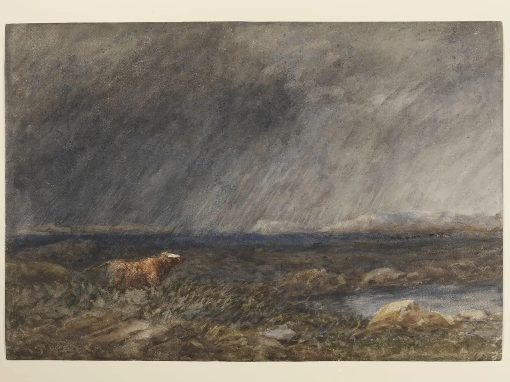 The Challenge: A Bull in a Storm on a Moor, by David Cox, watercolor, 1854