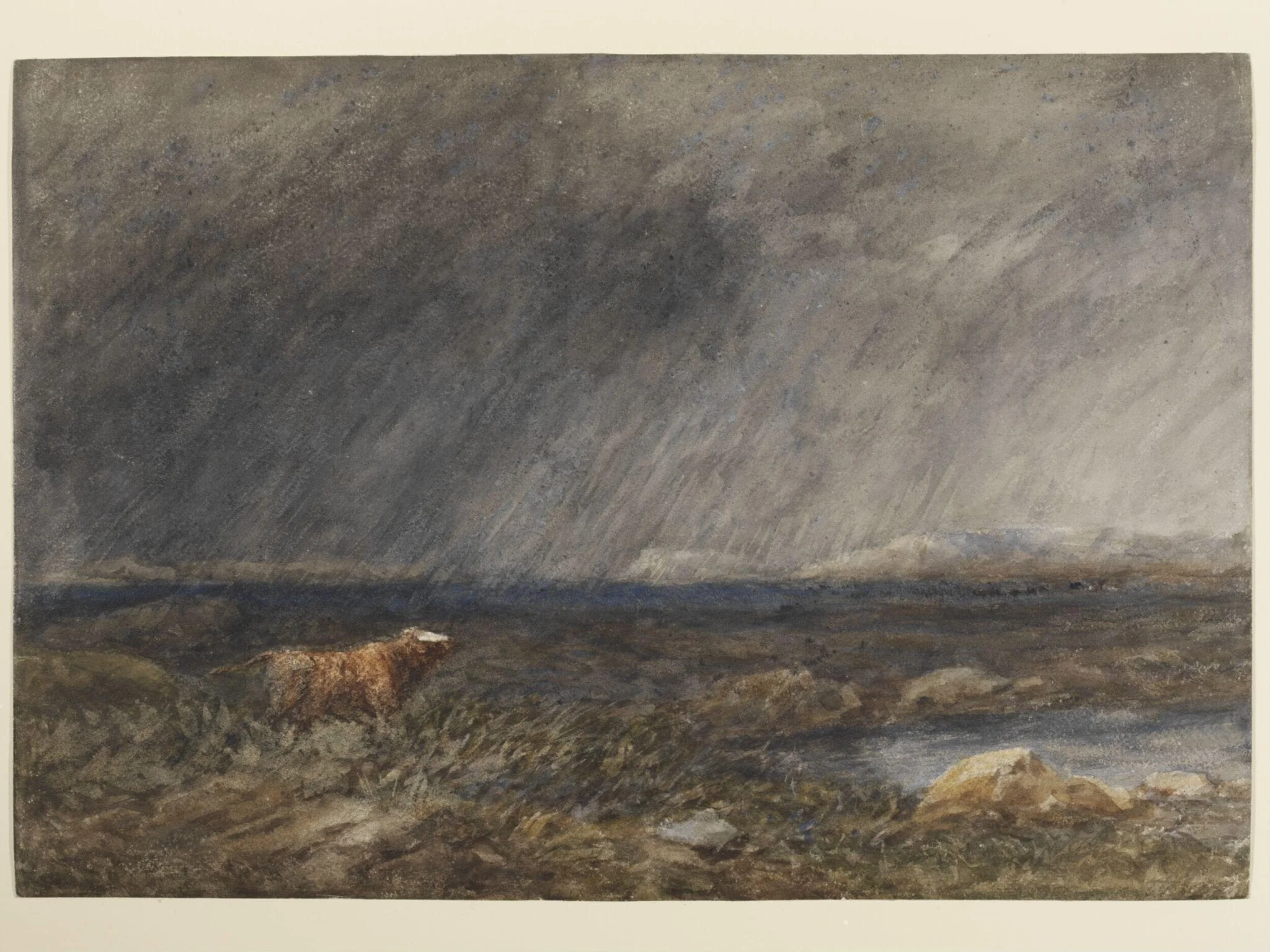 The Challenge: A Bull in a Storm on a Moor, detail