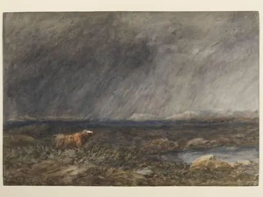The Challenge: A Bull in a Storm on a Moor, by David Cox, watercolor, 1854